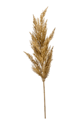 Gras Pampas Kunstpflanze