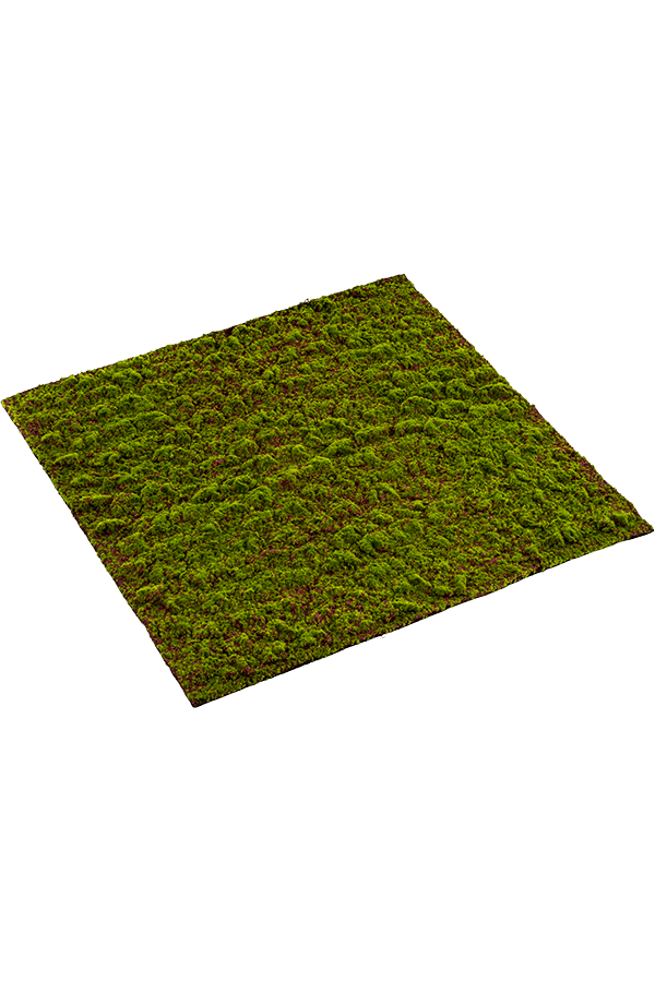 Moos Grimmia Kunstpflanze 100cm x 100cm
