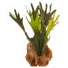 Farn Staghorn Kunstpflanze