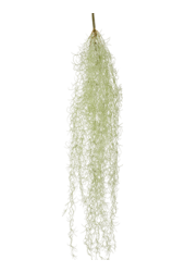 Tillandsia Hair Kunstpflanze