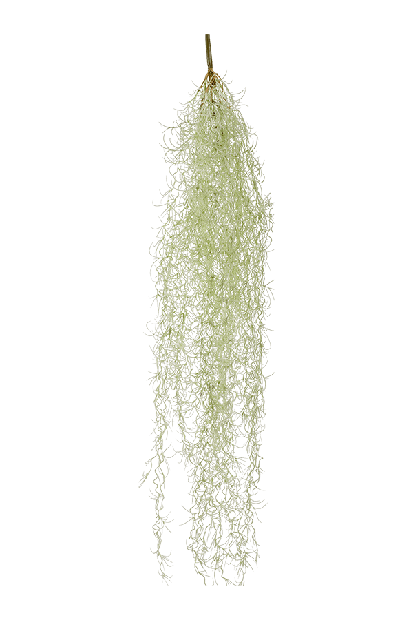 Tillandsia Hair Kunstpflanze