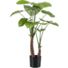 Alocasia Kunstpflanze