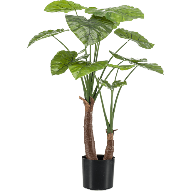 Alocasia Kunstpflanze