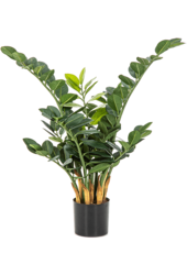 Zamioculcas Zamiifolia Kunstpflanze