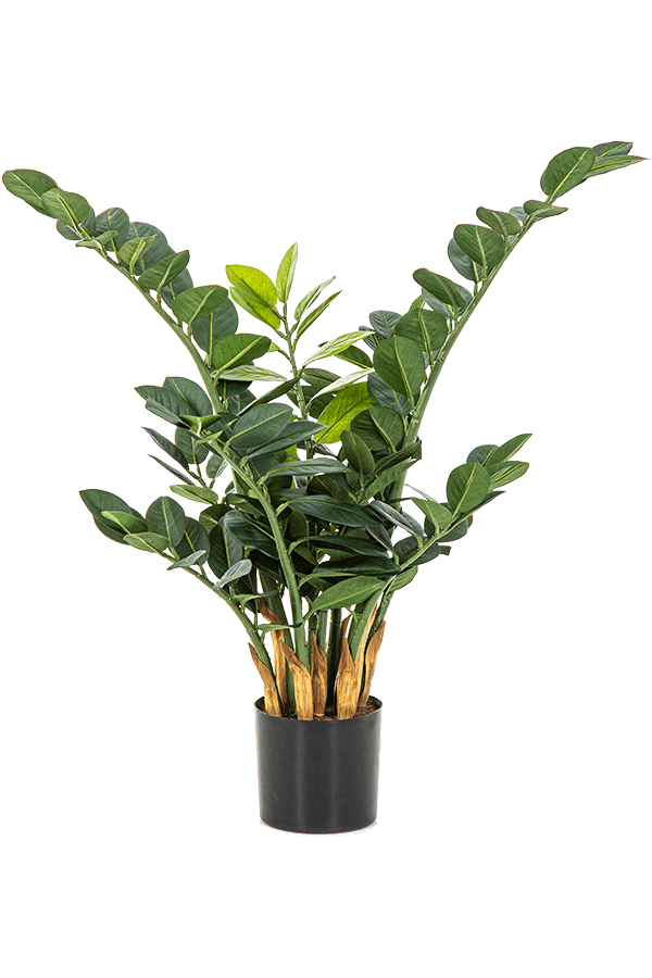 Zamioculcas Zamiifolia Kunstpflanze