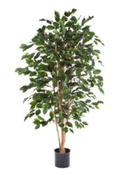 Ficus Exotica Kunstpflanze