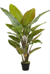 Strelitzia Kunstpflanze