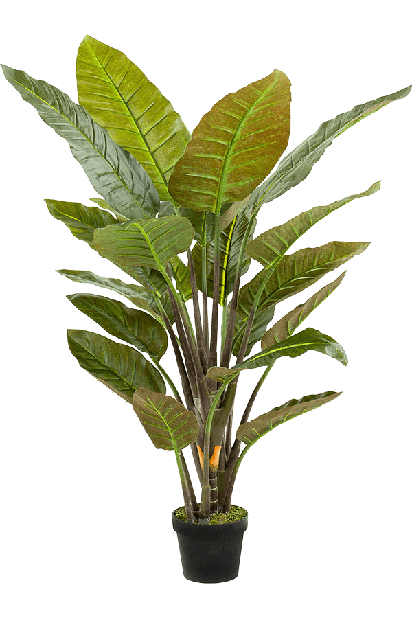 Strelitzia Kunstpflanze