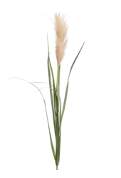 Gras Pampas Kunstpflanze