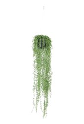 Senecio-Kunstpflanze