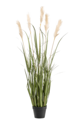 Gras Pampas Kunstpflanze
