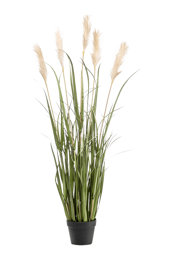 Gras Pampas Kunstpflanze