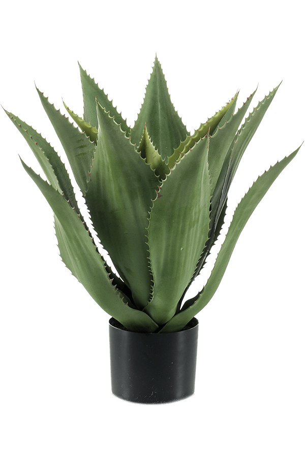 Agave Kunstpflanze
