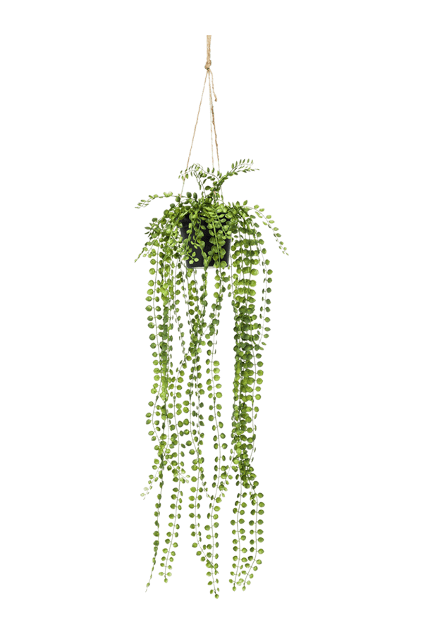 Ficus Pumila Kunstpflanze