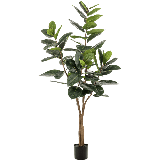 Ficus Elastica Kunstpflanze