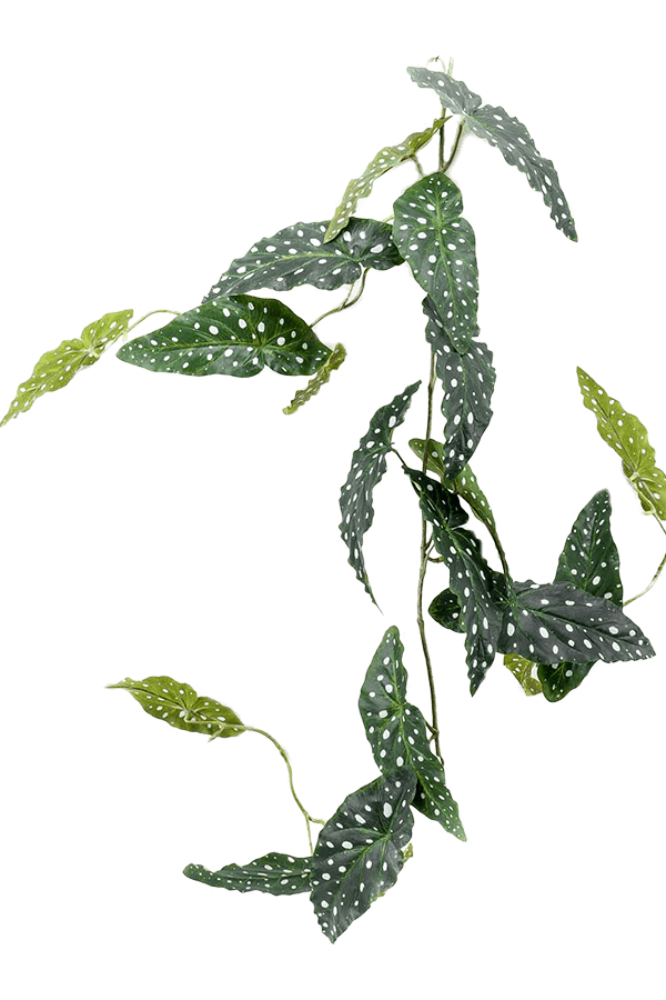 Begonia maculata Kunstpflanze