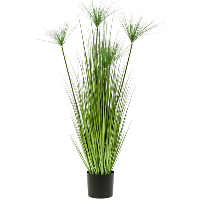 Cyperus Haspan Kunstpflanze