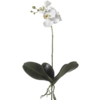 Phalaenopsis Kunstpflanze