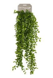 Ficus Pumila Kunstpflanze