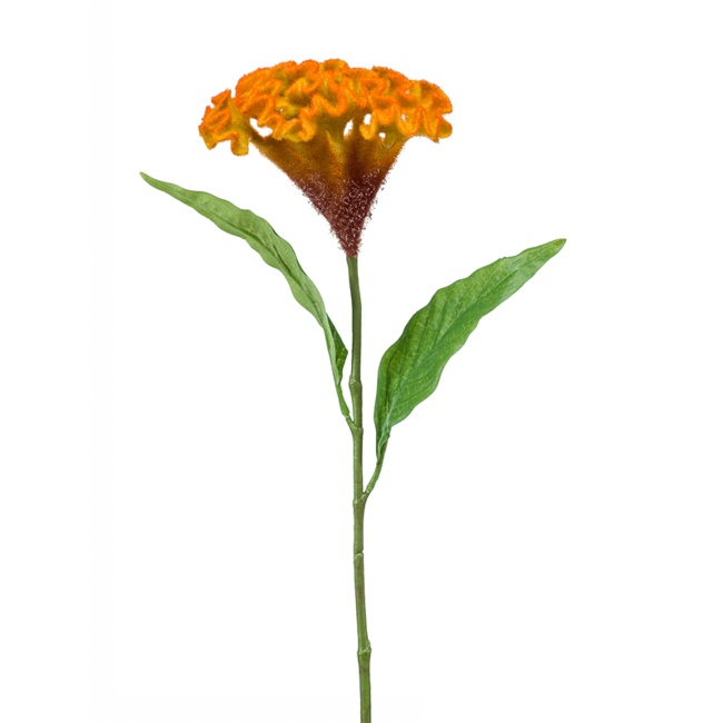 Celosia Kunstpflanze