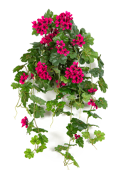 Geranium Kunstpflanze