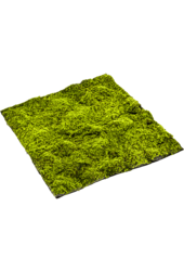 Moos Sphagnum Kunstpflanze 100cm x 100cm
