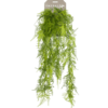 Asparagus plumosus Kunstpflanze