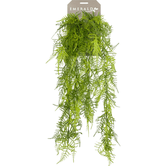 Asparagus plumosus Kunstpflanze