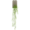 Hoya-Kunstpflanze
