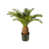 Cycas Kunstpflanze