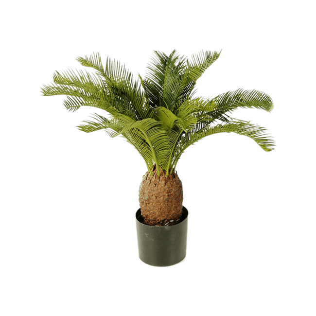 Cycas Kunstpflanze