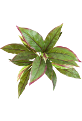 Cordyline Kunstpflanze