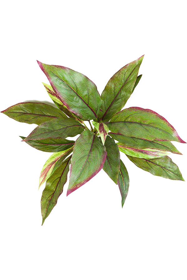 Cordyline Kunstpflanze