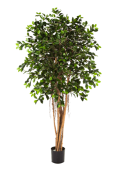 Ficus Retusa Kunstpflanze