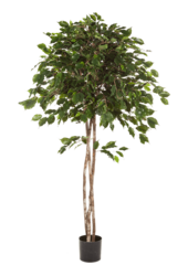 Ficus Exotica Kunstpflanze