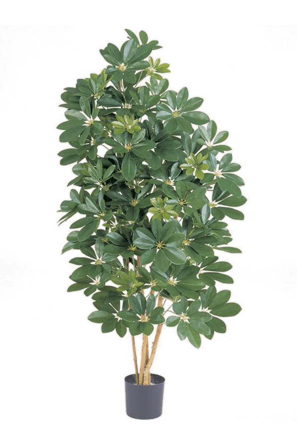 Schefflera-Kunstpflanze