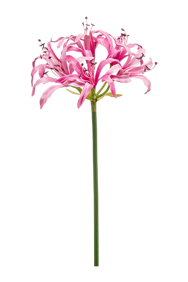 Nerine Kunstpflanze