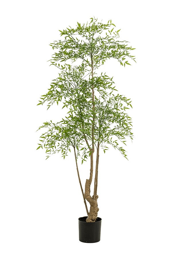Ruscus-Kunstpflanze