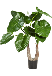 Alocasia Calidora Kunstpflanze