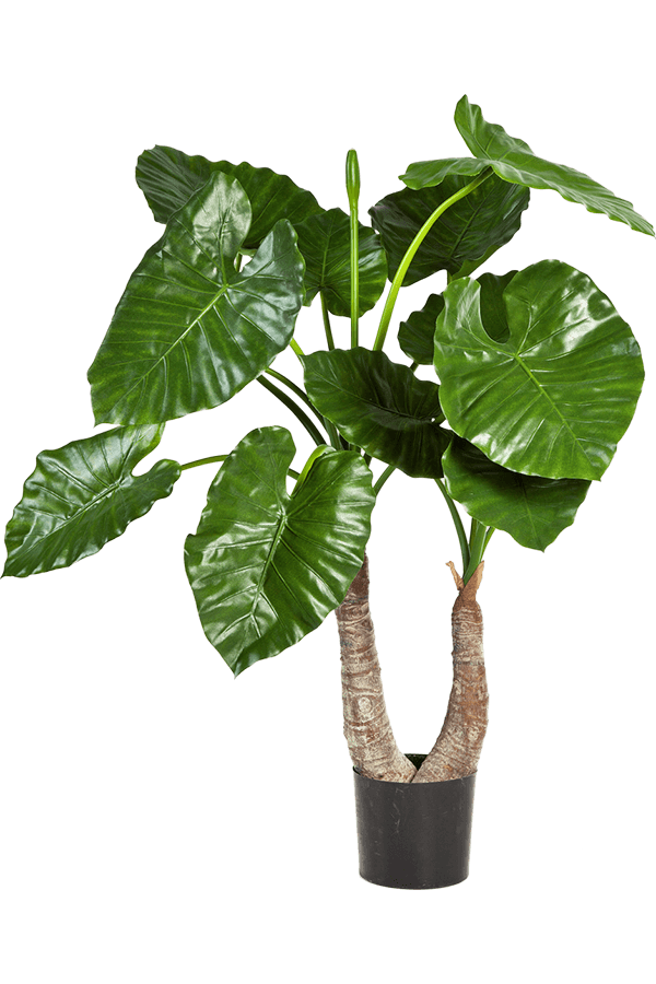 Alocasia Calidora Kunstpflanze