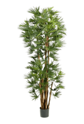 Rhapis Humilis Kunstpflanze
