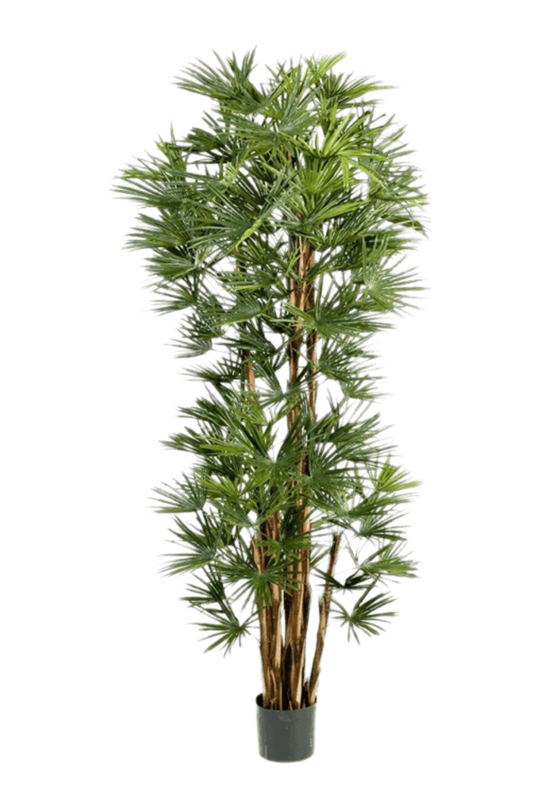 Rhapis Humilis Kunstpflanze