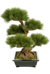 Pinus Kunstpflanze