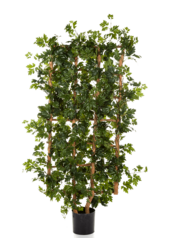 Cissus-Kunstpflanze