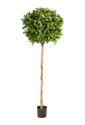 Laurus nobilis Kunstpflanze