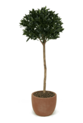 Laurus nobilis Kunstpflanze