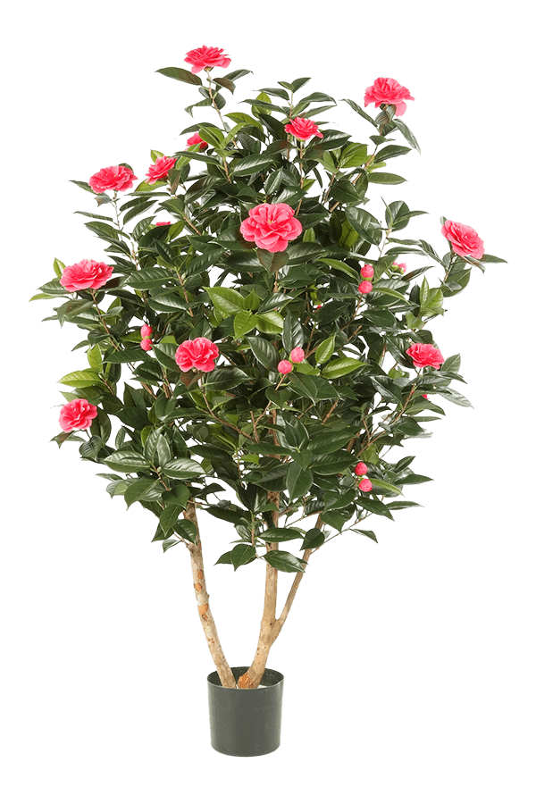 Kamelie Japonica Kunstpflanze