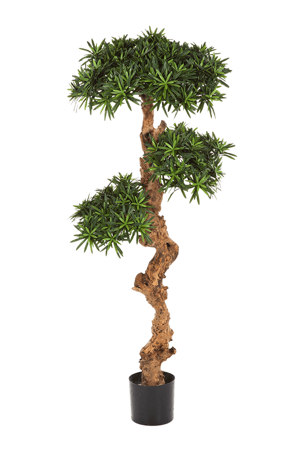 Podocarpus Kunstpflanze