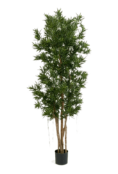 Podocarpus Kunstpflanze