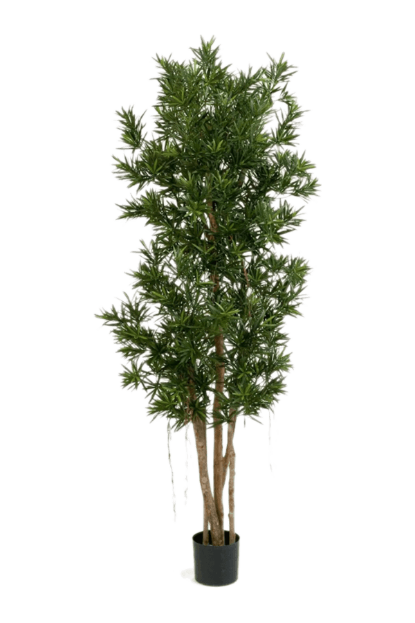 Podocarpus Kunstpflanze